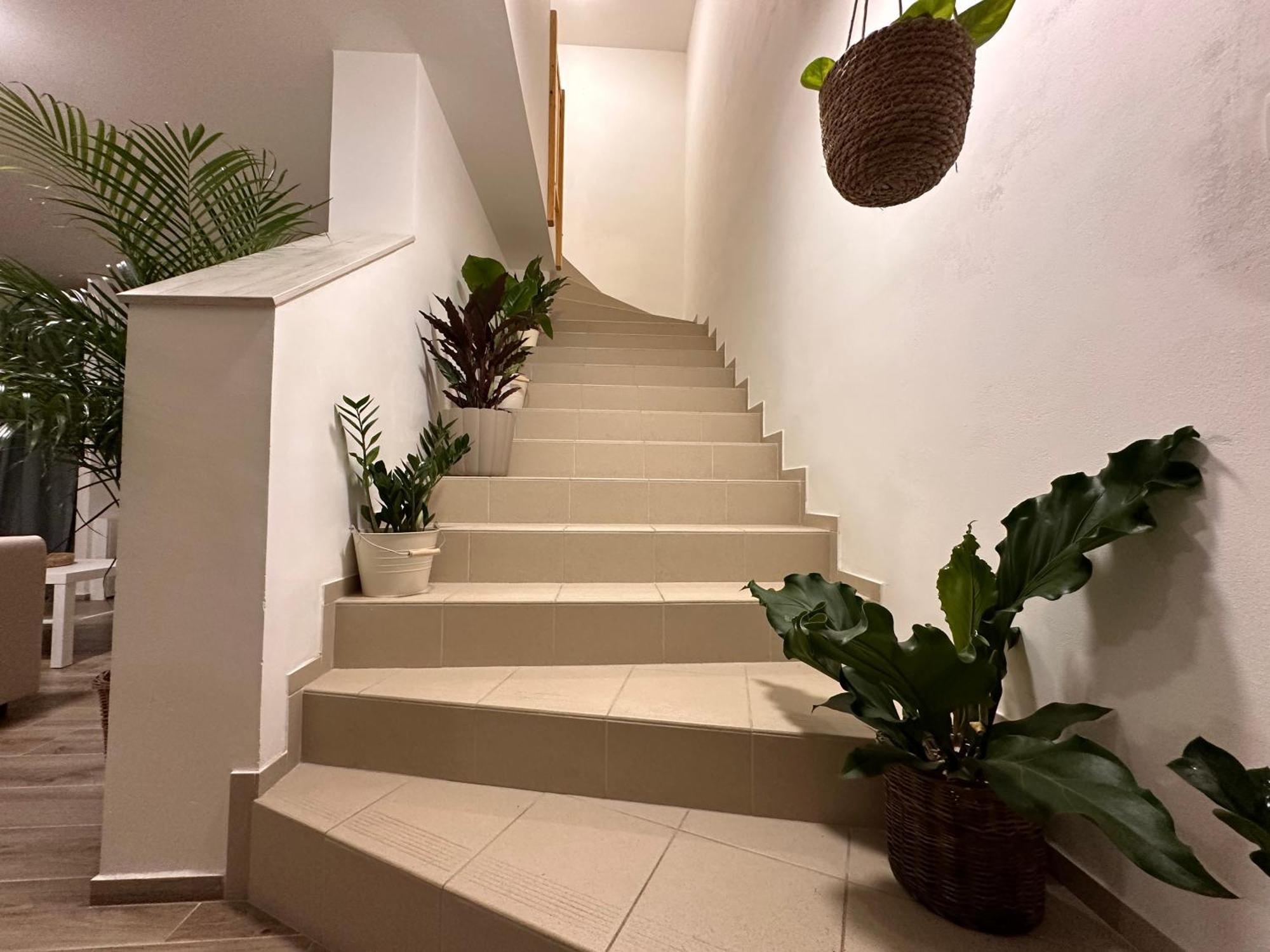Apartmany Monastery Suites Zirec Dvůr Králové nad Labem Eksteriør billede